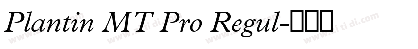 Plantin MT Pro Regul字体转换